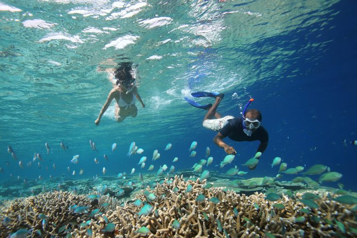 69298313-H1-Snorkelling_in_the_lagoon