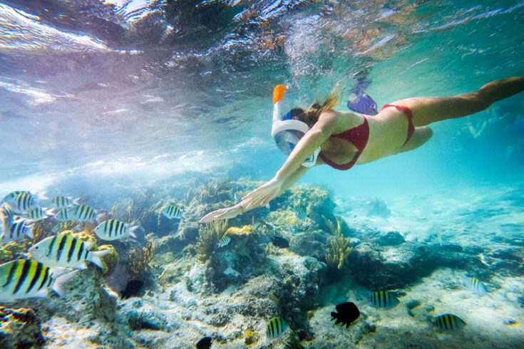 finolhu-maldives-reef-underwater-snorkeling