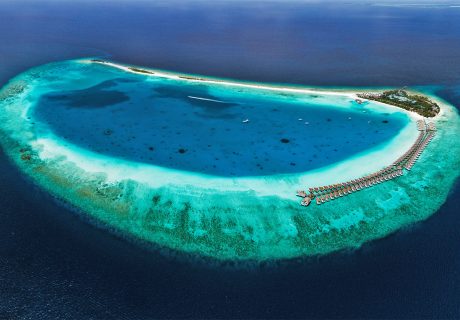 maldives-atoll-finolhu-reef-gallery